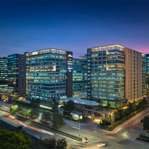 Sattva City avatar