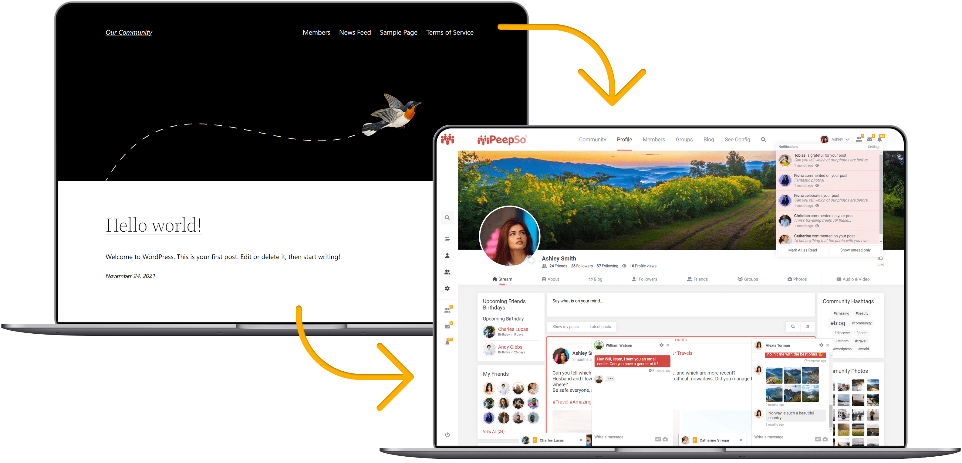 {{brizy_dc_image_alt imageSrc=